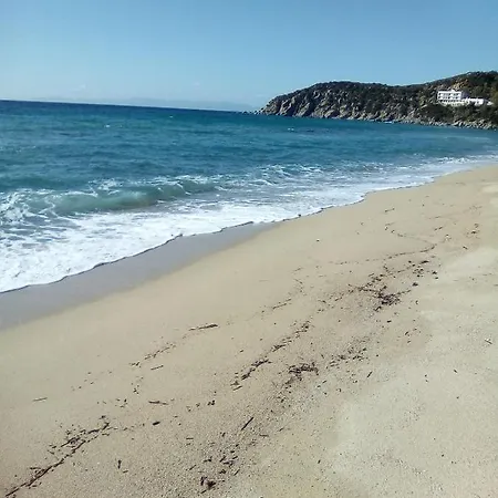 Guest In Solanas *