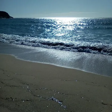 Guest In Solanas